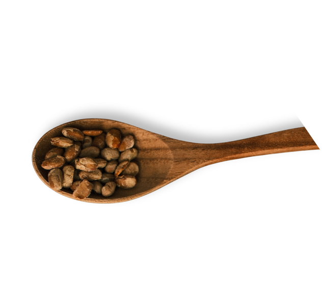 Wooden spoon with crunchy natto